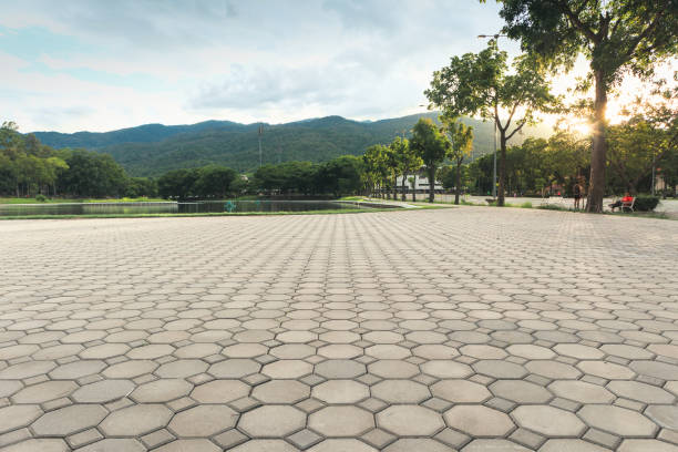 Best Driveway Pavers Near Me  in Spanish Springs, NV